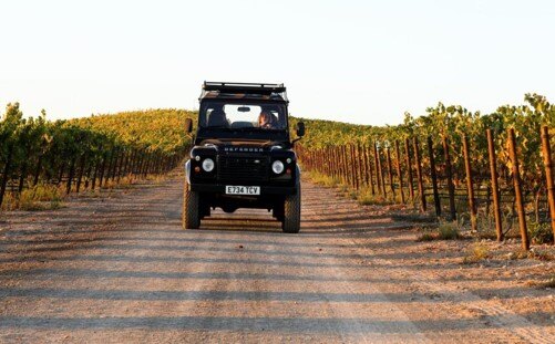 LE COLLINE DEL PROSECCO