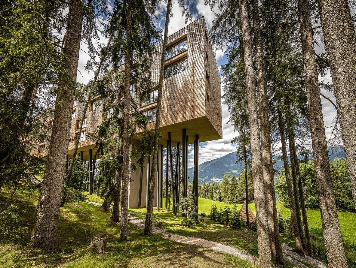 UN HOTEL TRA GLI ALBERI