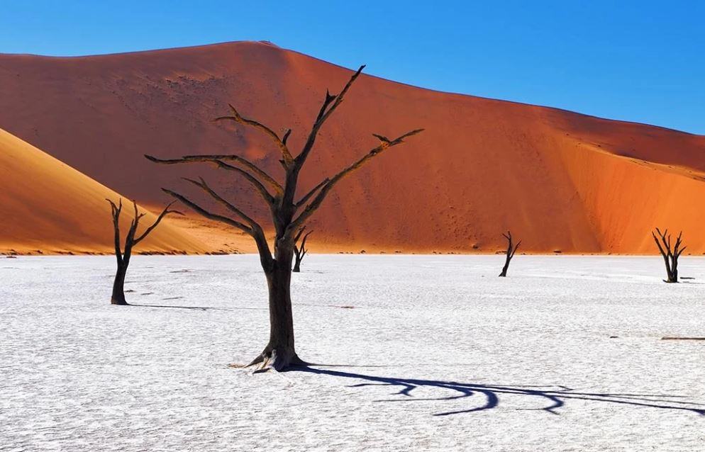 DUNE E DESERTO IN NAMIBIA