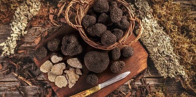 CACCIA AL TARTUFO  A SAN GIMIGNANO