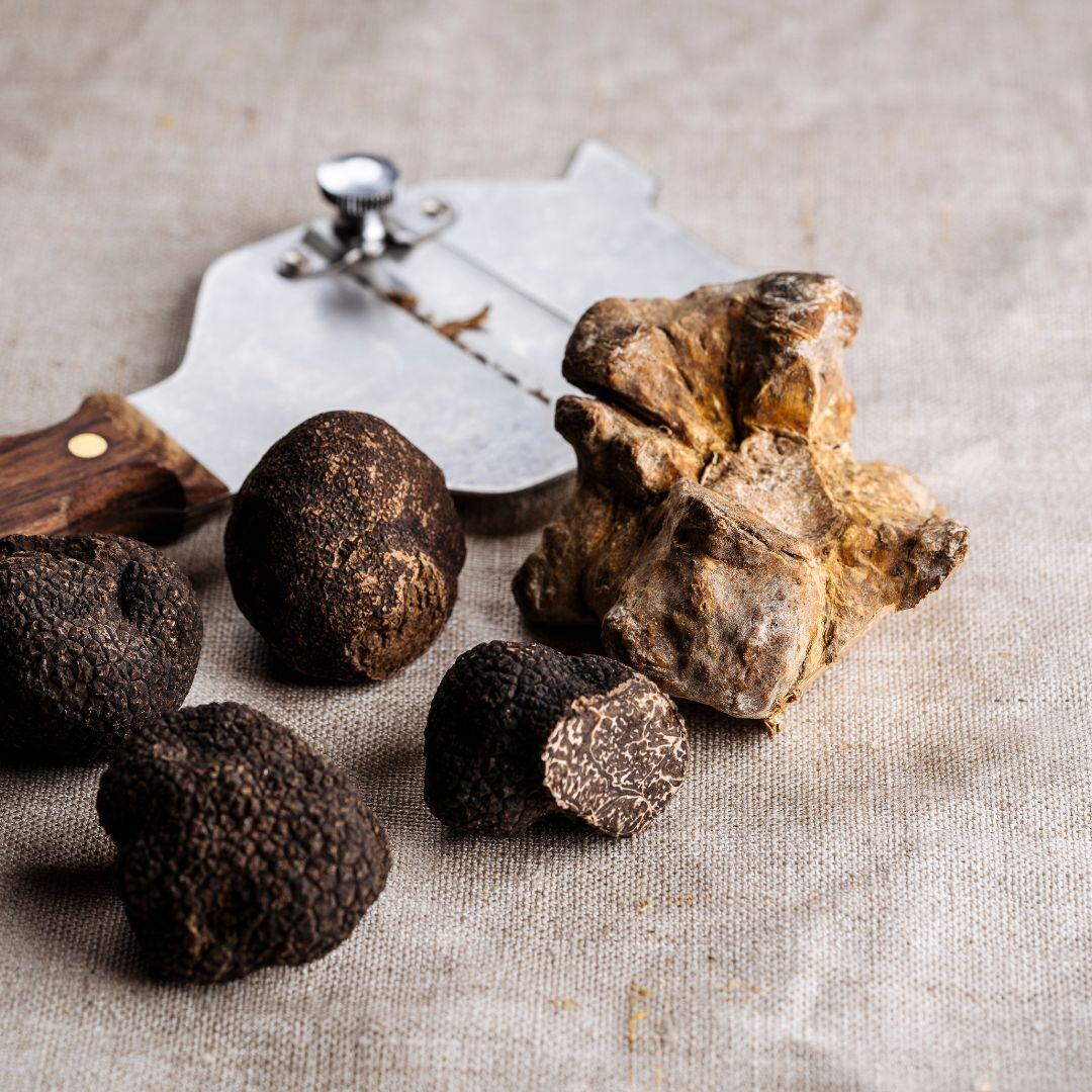 TRUFFLE HUNTING WITH OVERNIGHT STAY