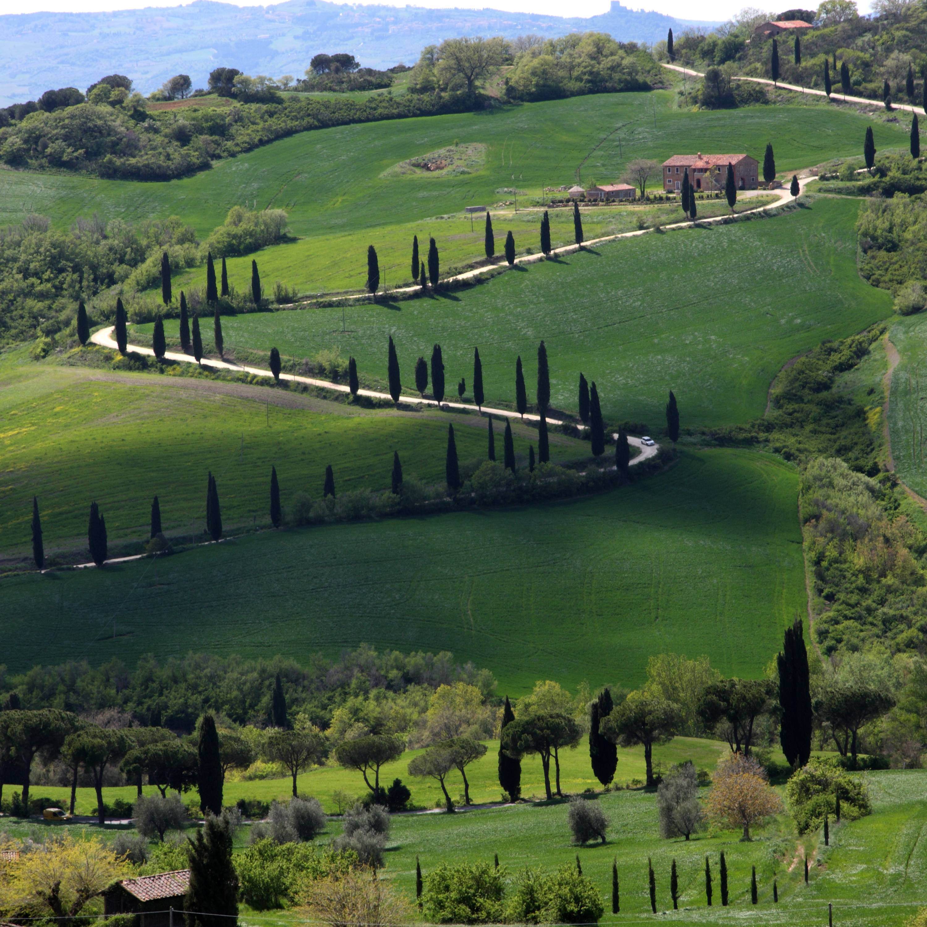 valdorcia