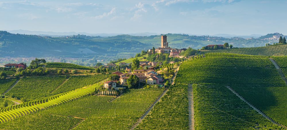 Esperienza a 360° nelle Langhe