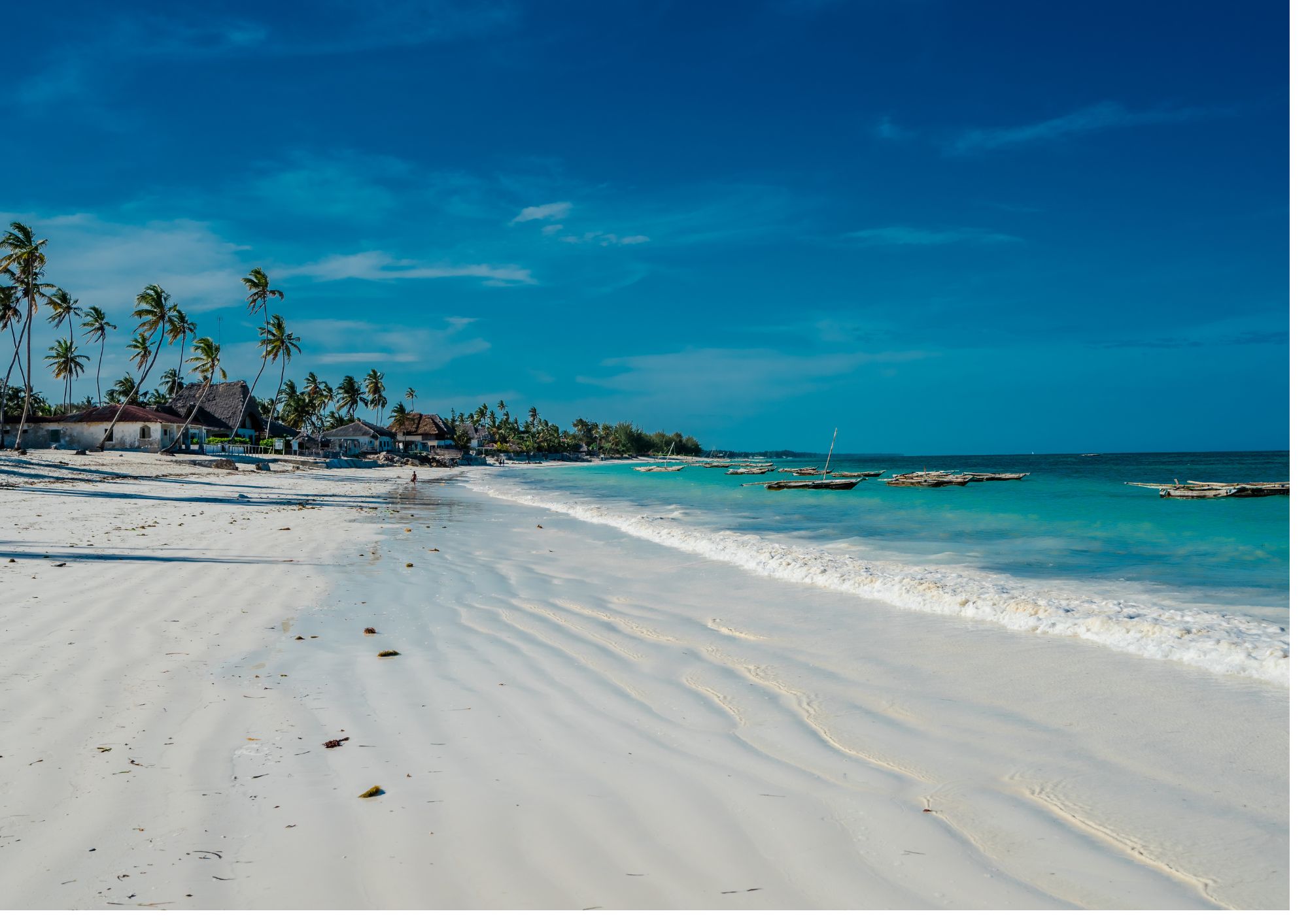 Zanzibar: l’isola delle spezie